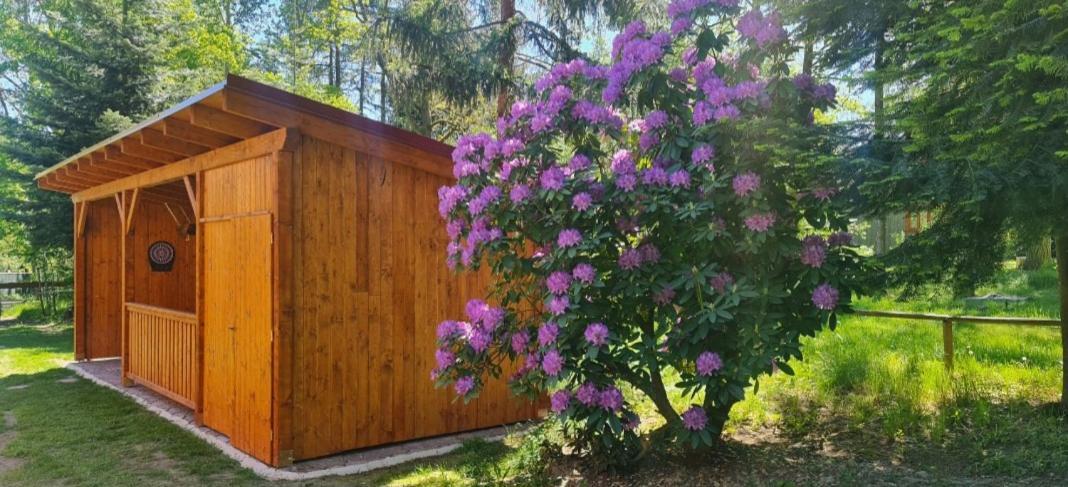 Chaloupky U Matusku Villa Varnsdorf Buitenkant foto